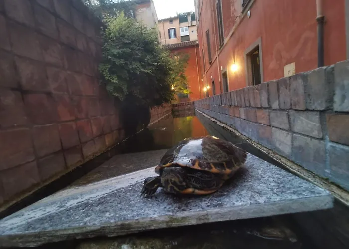 La Dolce Trevi Appartement Rome