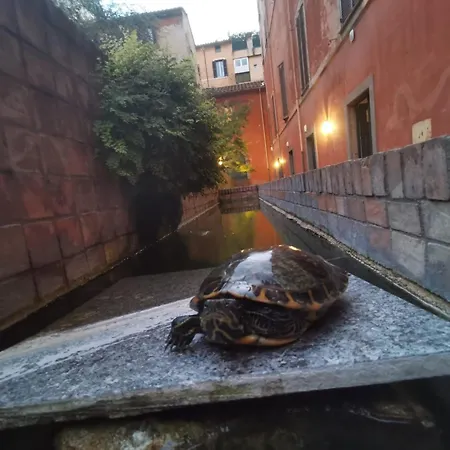 La Dolce Trevi Διαμέρισμα Ρώμη